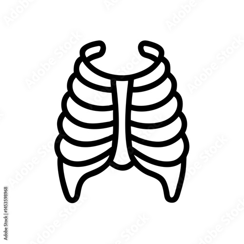 ribs