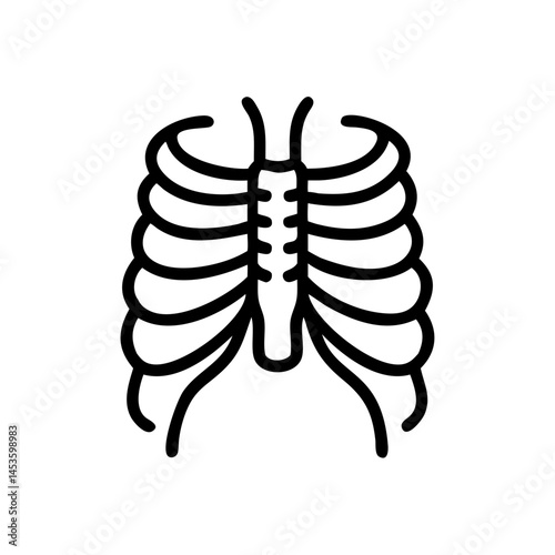 ribs
