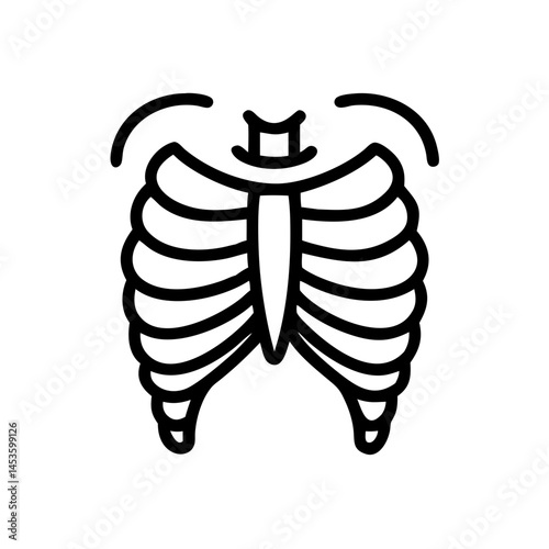 ribs