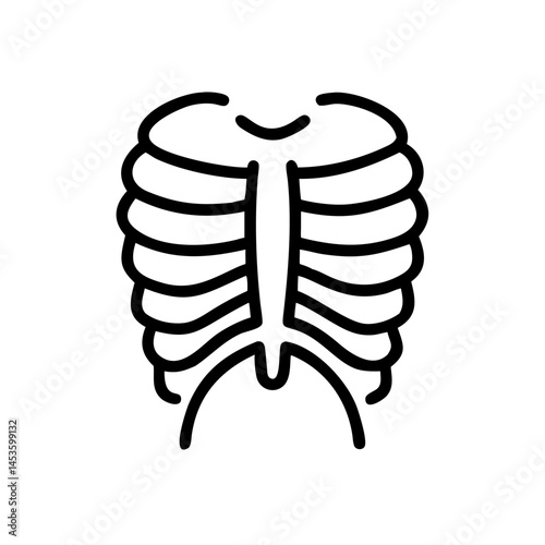 ribs