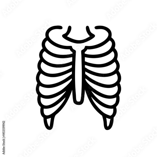 ribs