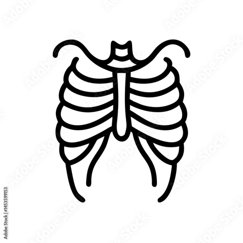 ribs