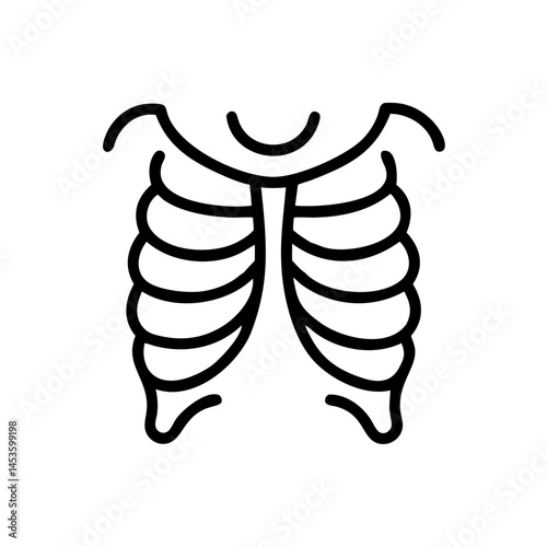 ribs