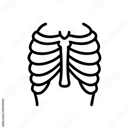 ribs