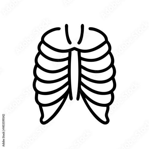ribs