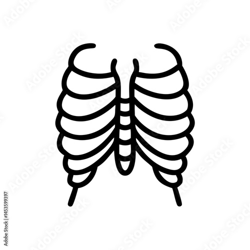 ribs