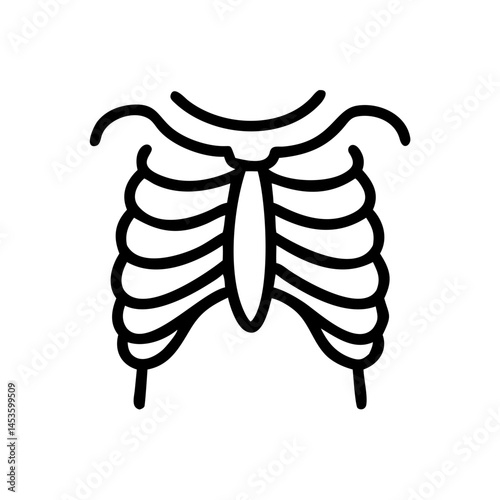 ribs