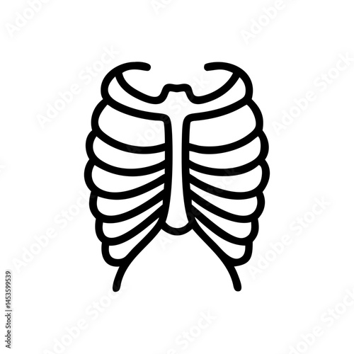 ribs