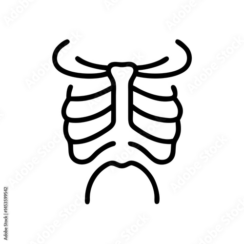 ribs