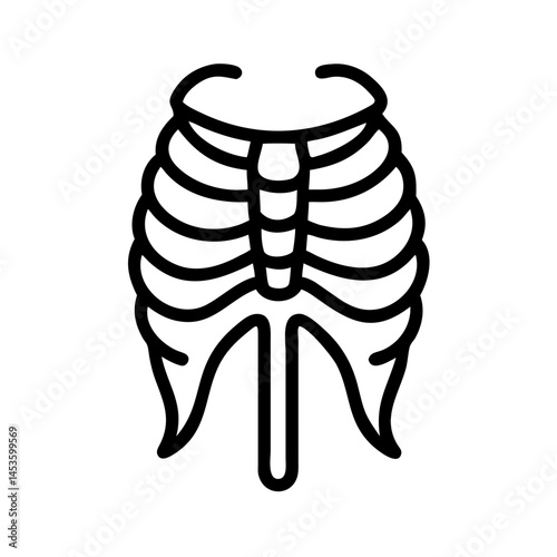 ribs