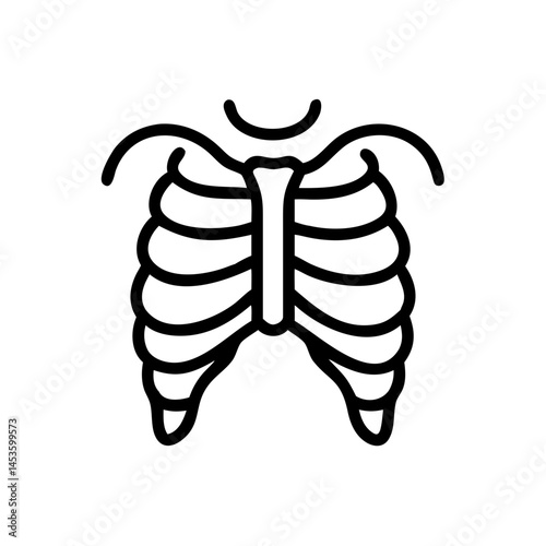 ribs