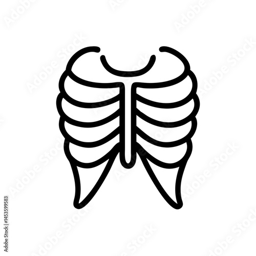 ribs
