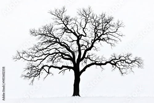 Wallpaper Mural A solitary, leafless tree stands stark against a white winter landscape, evoking solitude Torontodigital.ca