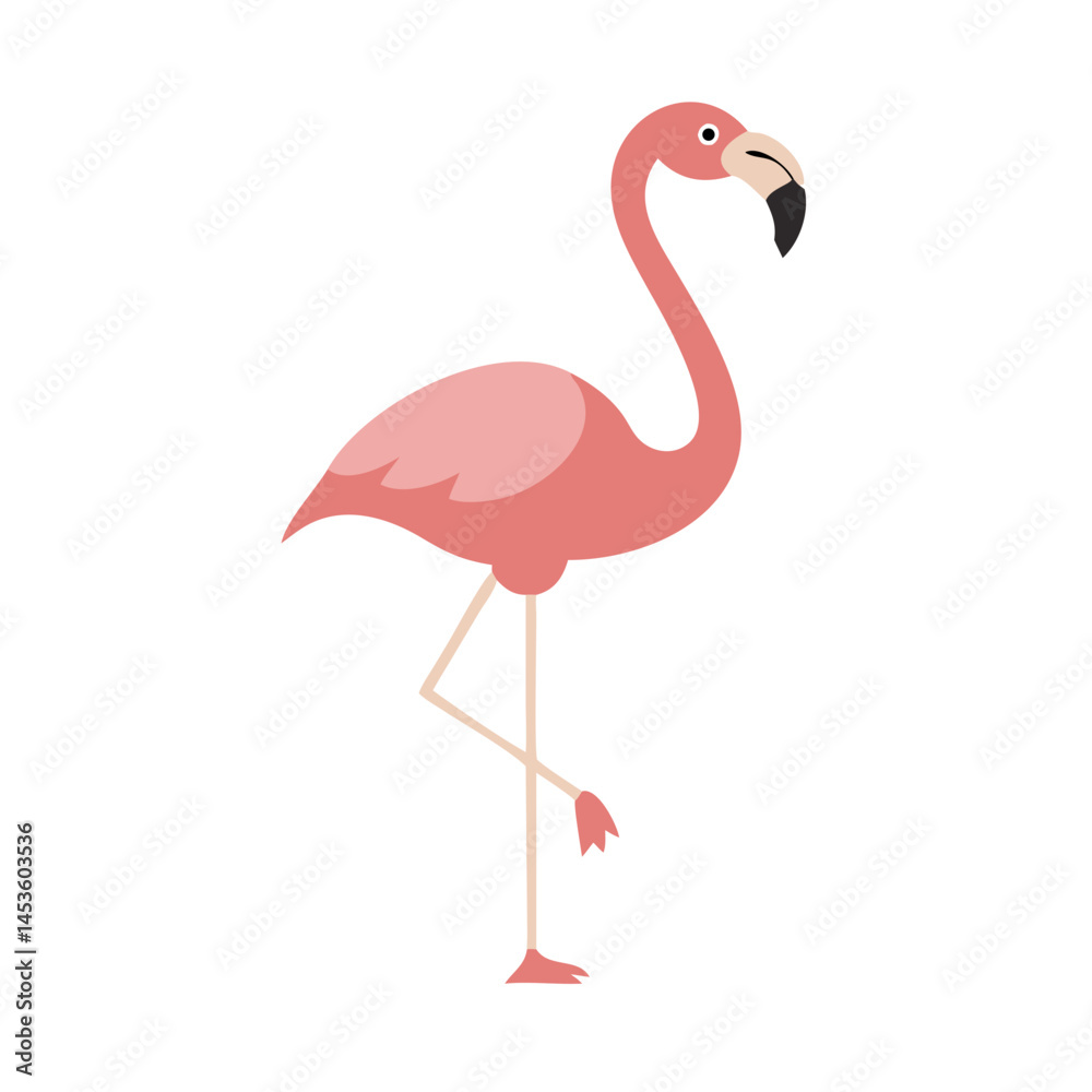 Fototapeta premium Flamingo: The Elegant Pink Wader
