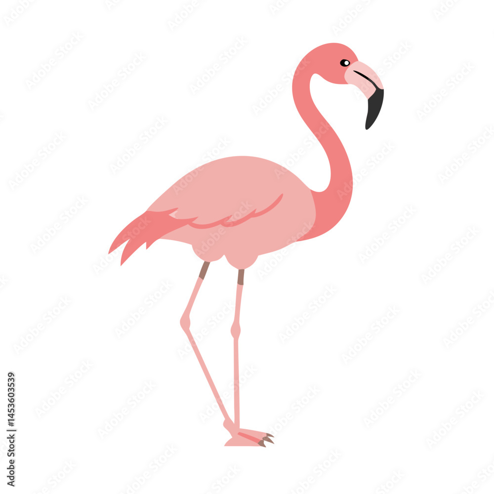 Fototapeta premium Flamingo: The Elegant Pink Wader