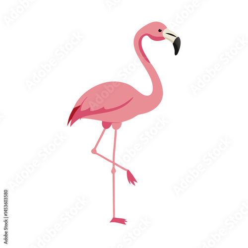 Flamingo: The Elegant Pink Wader