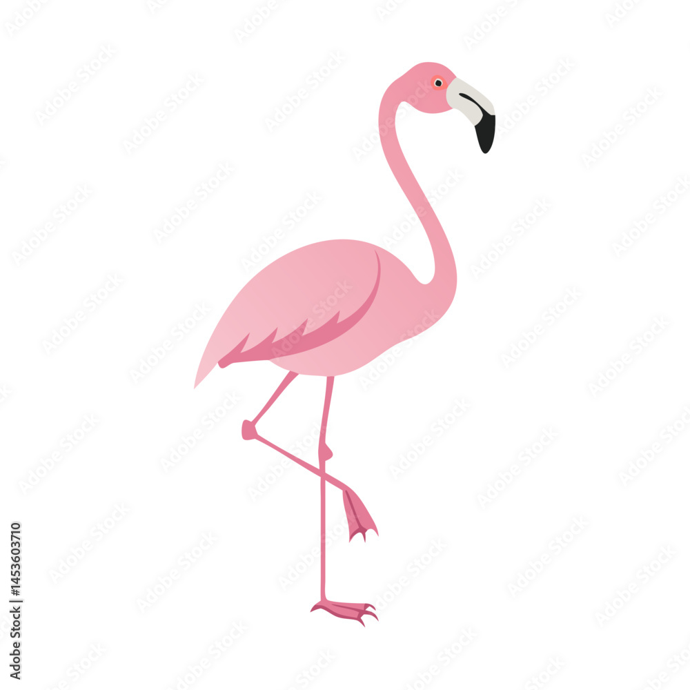 Fototapeta premium Flamingo: The Elegant Pink Wader