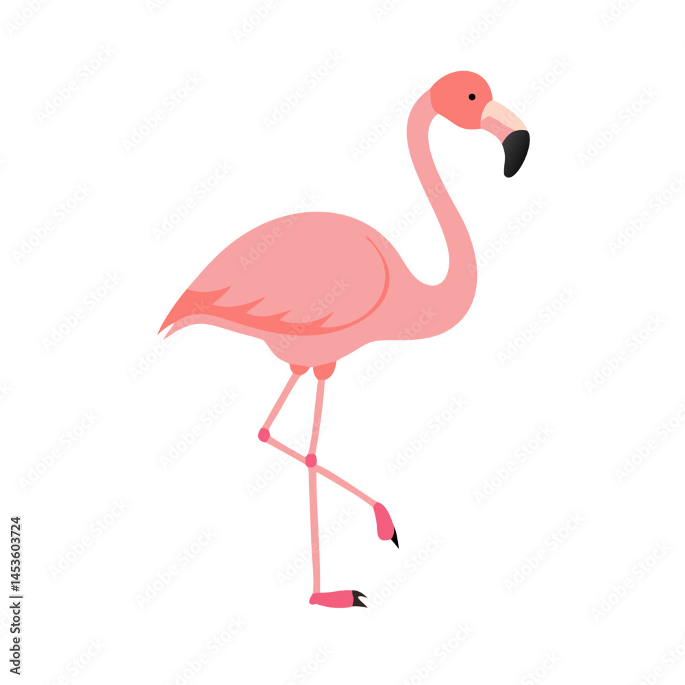 Flamingo: The Elegant Pink Wader Flamingo: The Elegant Pink Wader