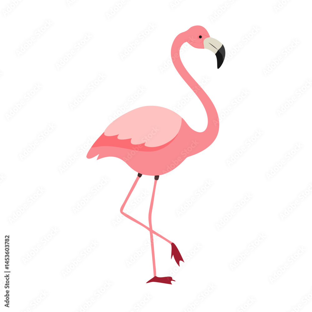 Flamingo: The Elegant Pink Wader Flamingo: The Elegant Pink Wader