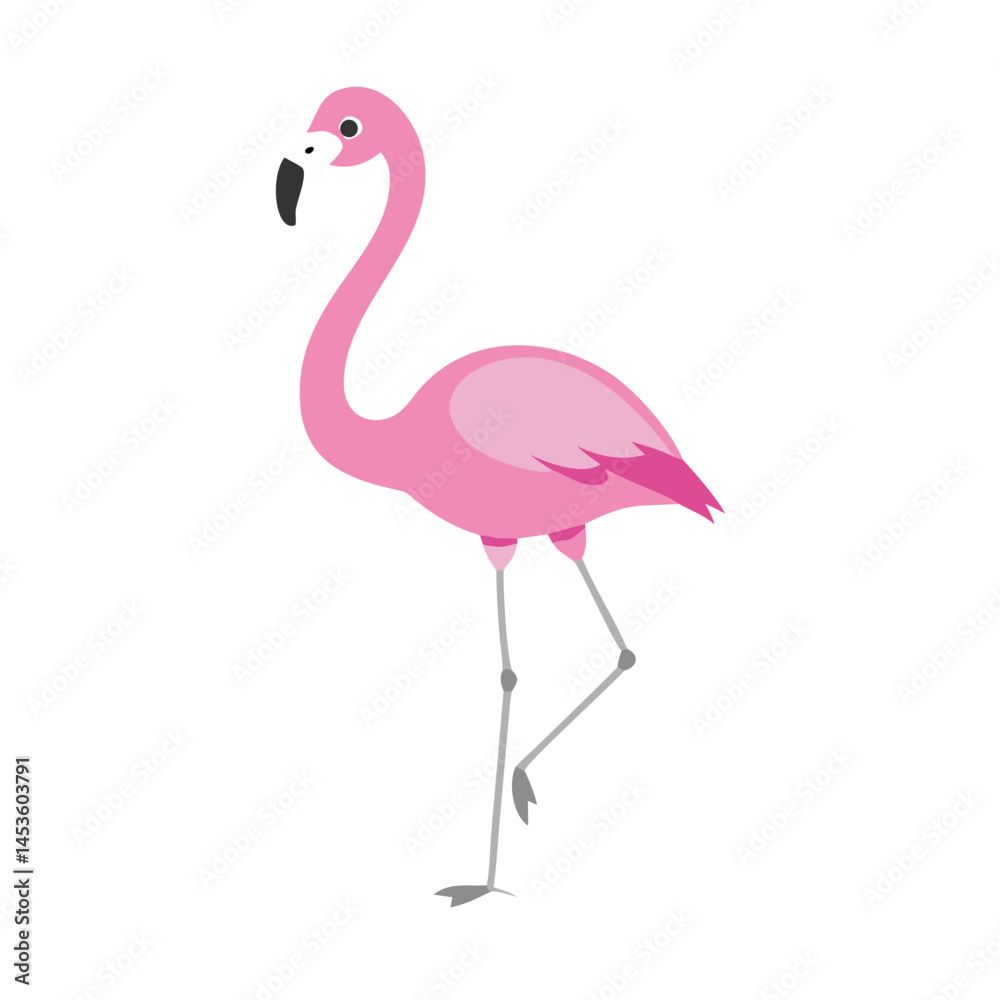 Flamingo: The Elegant Pink Wader Flamingo: The Elegant Pink Wader