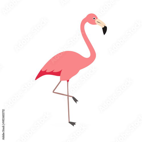 Flamingo: The Elegant Pink Wader
