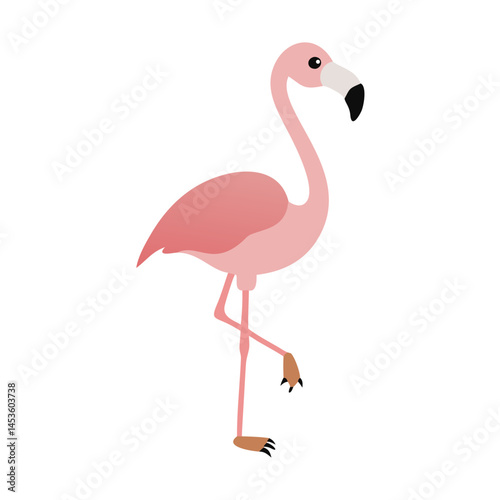 Flamingo: The Elegant Pink Wader