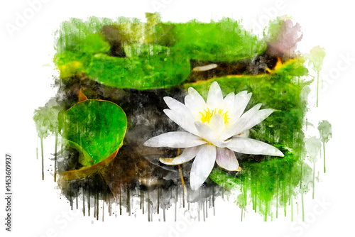 spa still life with camomile flowers