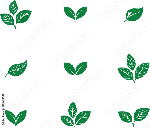 
Leaf Variety: Green Leaf Assortment