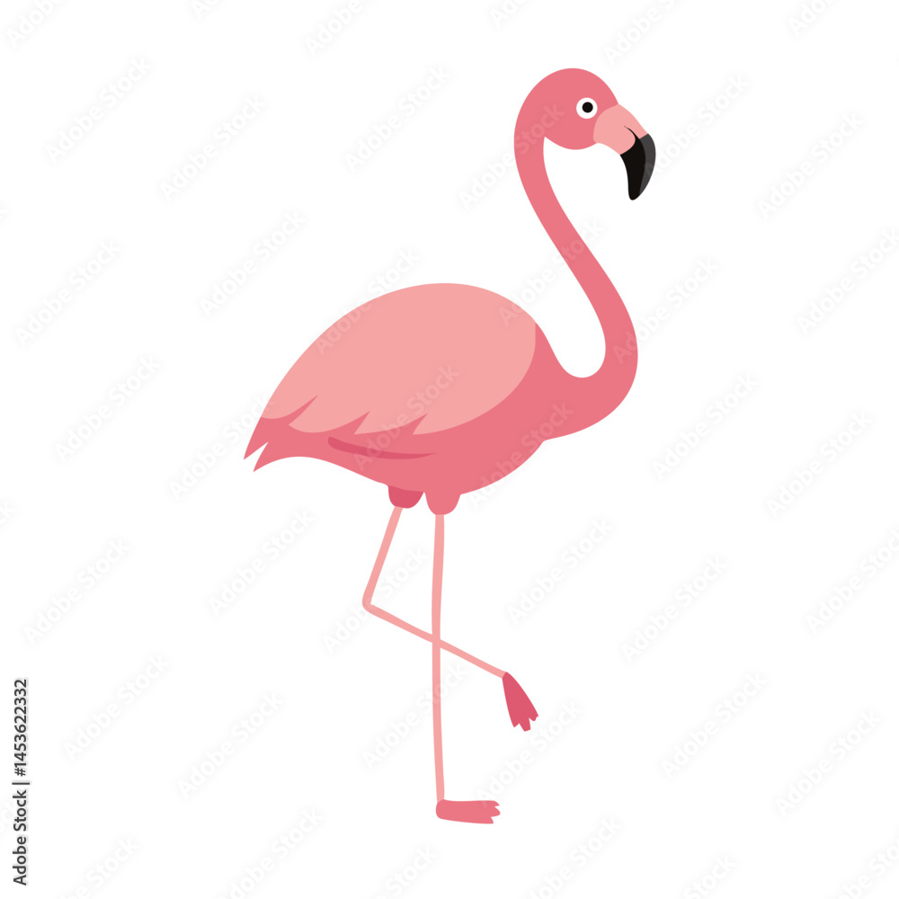 Flamingo: The Elegant Pink Wader Flamingo: The Elegant Pink Wader