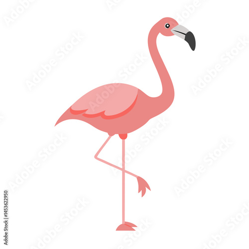 Flamingo: The Elegant Pink Wader