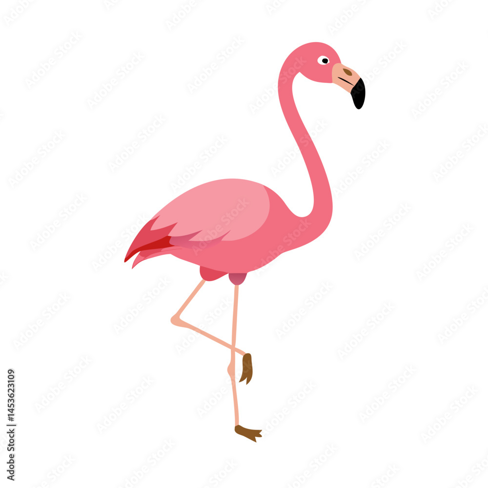 Fototapeta premium Flamingo: The Elegant Pink Wader