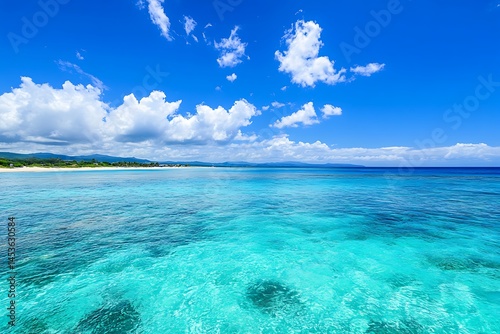 Breathtaking Okinawan Tropical Seascape with Clear Water and Coral photo