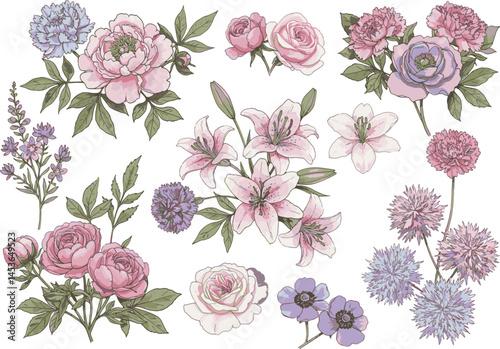 A detailed botanical illustration featuring colorful roses, peonies, lilies, and wildflowers with delicate petals and lush greenery, showcasing artistic floral design perfect for decor or fine art pri