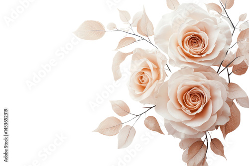 Elegant soft peach and cream roses with delicate leaves and branches on a white background perfect for floral arrangements romantic decor and beauty themes