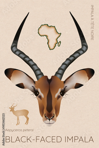 Black-Faced Impala