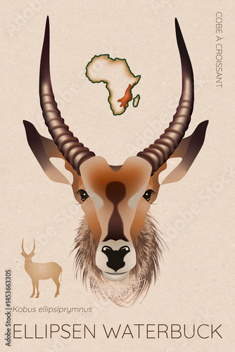 Photos Ellipsen Waterbuck