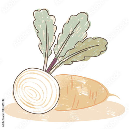Freshly Harvested Turnips Displaying Natural Beauty Against a Clean, Minimal Background Symbolizing Healthy Eating and Sustainability