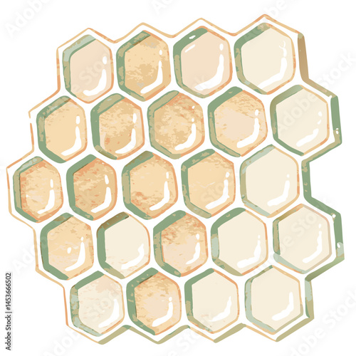 Honeycomb pattern showcasing golden hexagons with a textured appearance against a white background, representing natural sweetness and beekeeping.