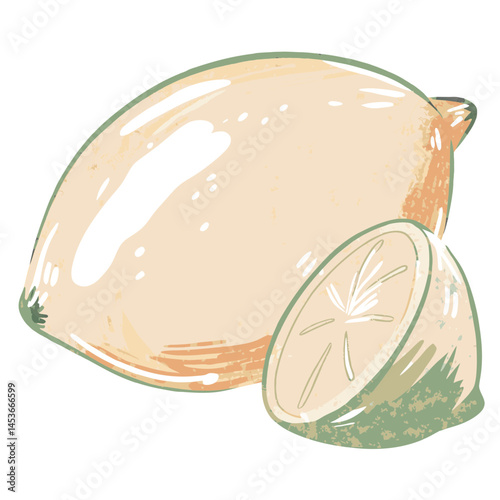 Illustration of a lemon and a lemon slice showing vibrant colors against a white background, representing freshness, health, and culinary use.