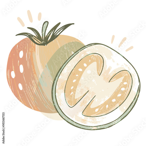 Colorful Illustration of a Fresh Tomato and Its Cross-Section Representing Healthy Eating and Nature's Bounty