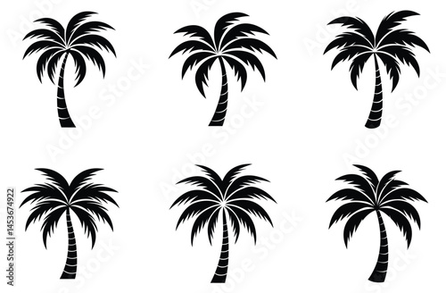 Silhouette of palm tree set vector illustration isolated on white background.