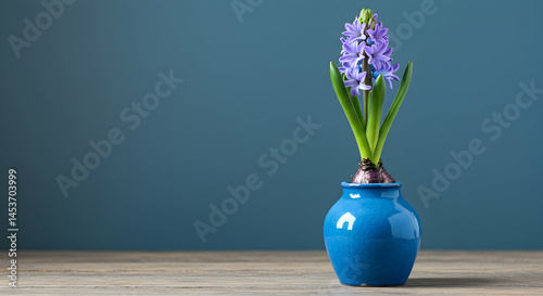 Blue Pot with Hyacinth Flower on Wooden Surface and Background