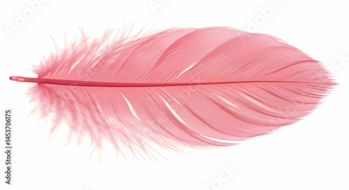 Delicate Pink Feather on a White Background for Creative Projects