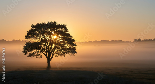 Majestic Tree Silhouette Against Sunrise in Misty Landscape