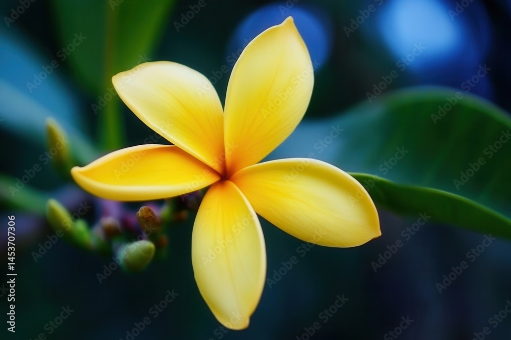 Obraz premium Close-up of a vibrant yellow flower blooming amidst lush green leaves in a serene setting