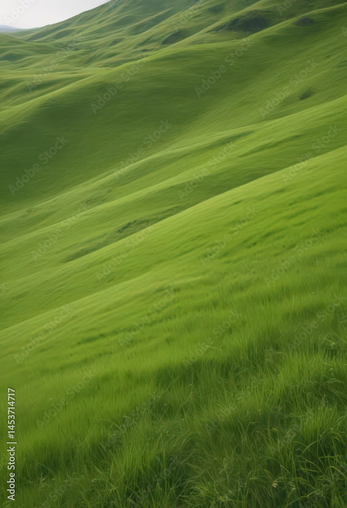 Obraz premium Softly curved hill blanketed in bright green grass , sunlight, lush