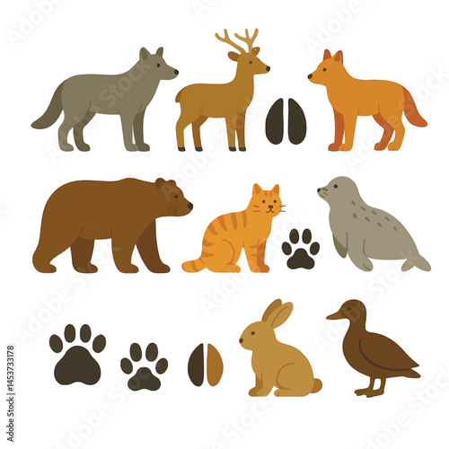 Vector set of wild and domestic animals with their matching paw prints. Collection with wolf, deer, fox, bear, cat, seal, rabbit and duck. Flat style isolated illustration on white background.