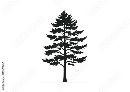 25