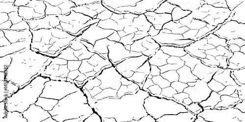 Vector background. Desert backdrop.The cracks texture white and black.Cracks in dry surface soil texture
