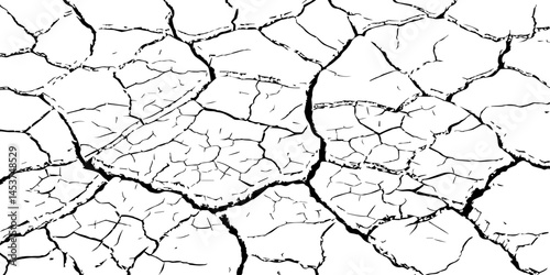 Vector background. Desert backdrop.The cracks texture white and black.Cracks in dry surface soil texture
